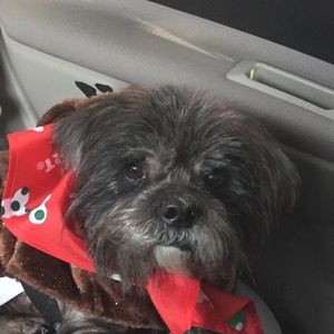 Meet your Posher, Tonya